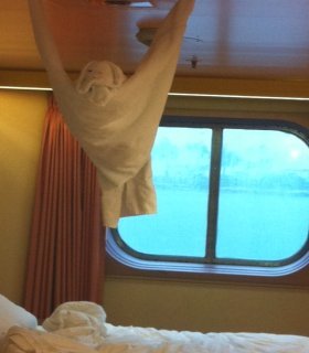 Towel Animal on Carnival Destiny